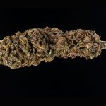 three-more-cannabis-strains-for-the-holidays