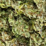 US-virgin-islands-legalizes-adult-use-cannabis