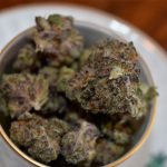 cannabis-strains-that-may-aid-with-weight-loss