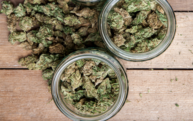 photo of Legislation to Cap THC Potency in Washington State Stalls, California Cannabis Regulators Launch Grant Program to… image