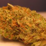three-rare-cannabis-strains