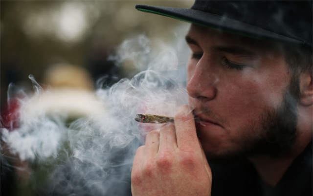 new-study-shows-adult-cannabis-use-reached-all-time-high